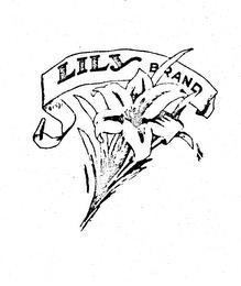 LILY BRAND trademark