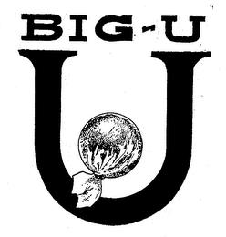 U BIG-U trademark