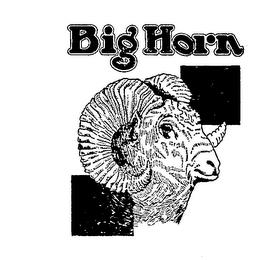 BIG HORN trademark