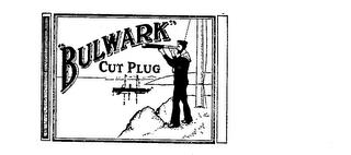 BULWARK CUT PLUG trademark