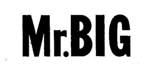 MR.BIG trademark