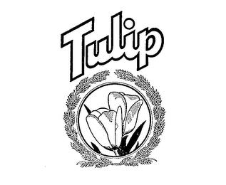 TULIP trademark