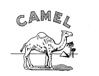 CAMEL trademark