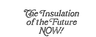 THE INSULATION OF THE FUTURE NOW! trademark