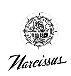 NARCISSUS trademark