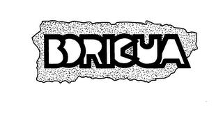 BORICUA trademark