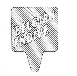 BELGIAN ENDIVE trademark