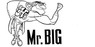 H MR. BIG trademark