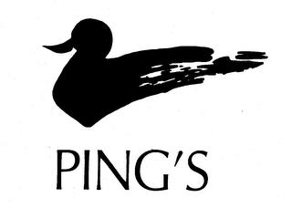 PING'S trademark