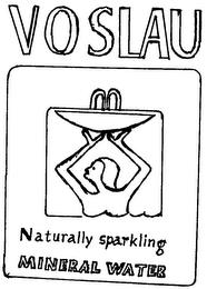 VOSLAU NATURALLY SPARKLING MINERAL WATER trademark