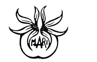 MARI trademark