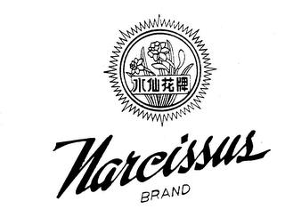 NARCISSUS BRAND trademark