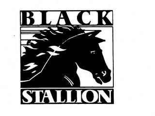 BLACK STALLION trademark