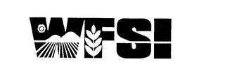 WFSI trademark