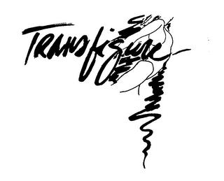 TRANSFIGURE trademark