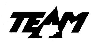 TEAM trademark