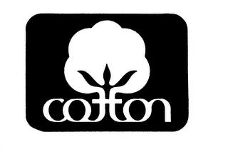 COTTON trademark