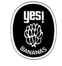 YES! BANANAS trademark