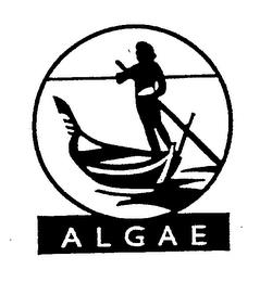 ALGAE trademark