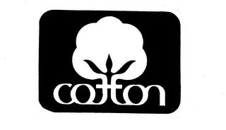 COTTON trademark