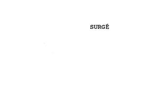 SURGE trademark