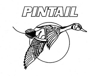 PINTAIL trademark