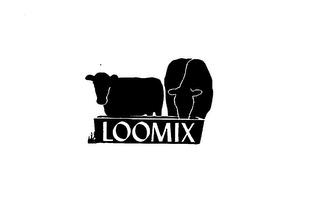 LOOMIX trademark