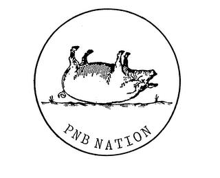 PNB NATION trademark