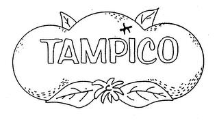 TAMPICO trademark