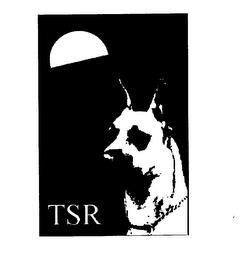 TSR trademark