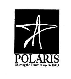 POLARIS CHARTING THE FUTURE OF AGENTS E&O trademark