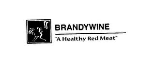 BRANDYWINE "A HEALTHY RED MEAT" trademark