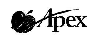 APEX trademark