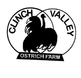 CLINCH VALLEY OSTRICH FARM trademark