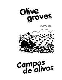 OLIVE GROVES OLIVE OIL CAMPOS DE OLIVOS trademark