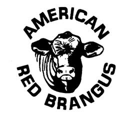 AMERICAN RED BRANGUS trademark