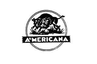 A & MERICANA trademark