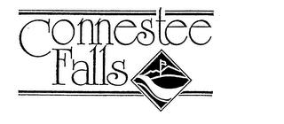 CONNESTEE FALLS trademark