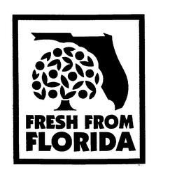 FRESH FROM FLORIDA trademark