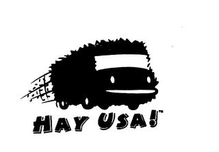 HAY USA! trademark