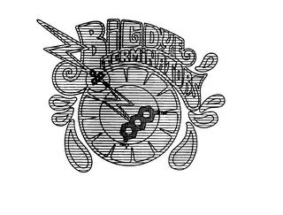 BIGDYE TERMINATORS trademark