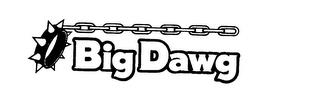 BIG DAWG trademark