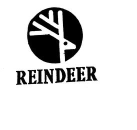 REINDEER trademark