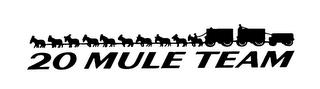 20 MULE TEAM trademark