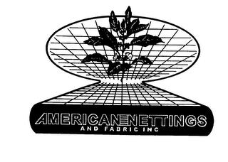 AMERICAN-NETTINGS AND FABRIC INC trademark