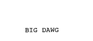 BIG DAWG trademark