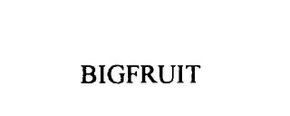 BIGFRUIT trademark