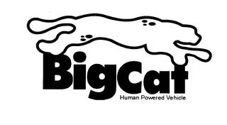 BIGCAT HUMAN POWERED VEHICLE trademark