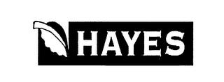 HAYES trademark