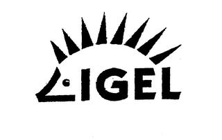 IGEL trademark